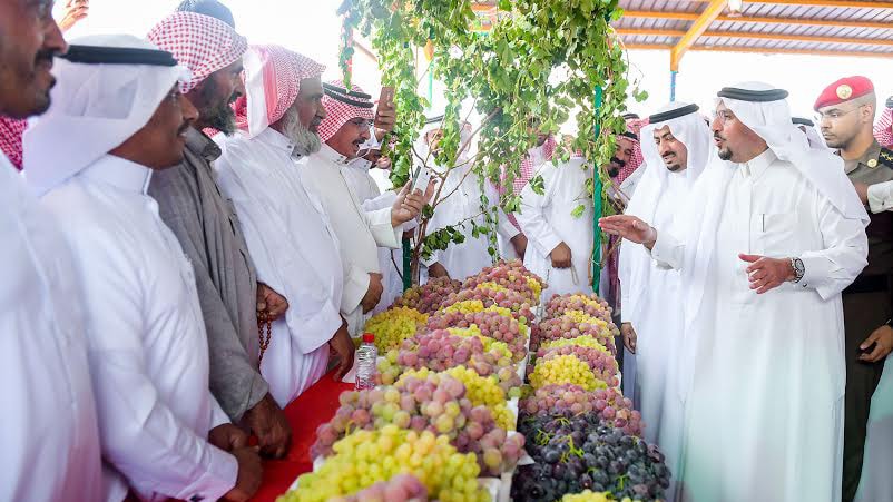 صورة 1